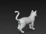 gatinho-1