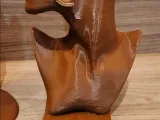 busto + orelha-0