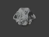 Black Bear Skull-5