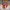 FOXY FIVE NIGHTS AT FREDDY'S SLEUTELHANGER