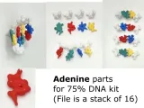 DNA - Deoxyribonucleic acid-1