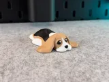 Cute Dog-4