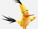angry birds-0
