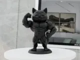Muscular Cat-4