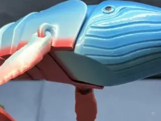 Flexi Humpback Whale