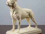 Rottweiler -0
