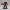 Inferno Colossus – Molten Stone Titan 3D Figurine