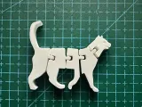 Flexi Cat-0