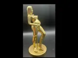 Pregnant Nude Model-0