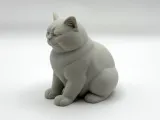 Not Amused Cat-3