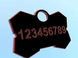 Civerpet-1