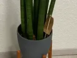 Minimalist Plant Stand-1
