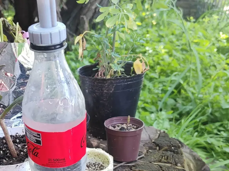 Regadera improvisada para suculentas / DIY watering spout