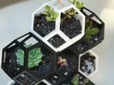 Plantygon - Modular Geometric Stacking Planter for Succulent-0