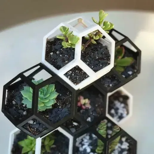 Plantygon - Macetero geométrico modular apilable para suculentas