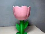 Tulipan Cable Holder (NO CFS)-3
