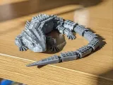 Roodogige Krokodilskink-0