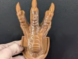 Claw Wall Hook and Key Hanger - Support Free-7