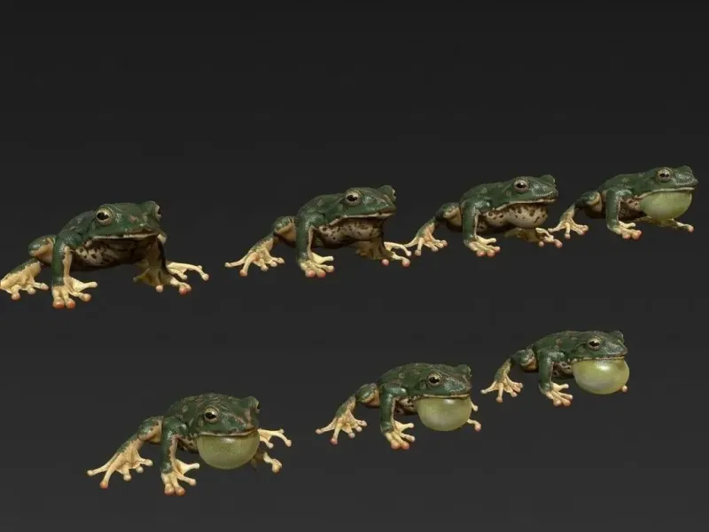 Realistic Frog with Inflating Throat | Croaking Frog STL