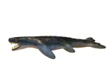 Carnicetus Pliophyseter-5