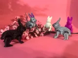 JUMPING BUNNY!!!-2