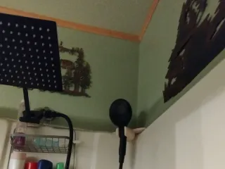 Shower Holder - Corner Mount