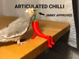 Articulated Chilli Buddy-0