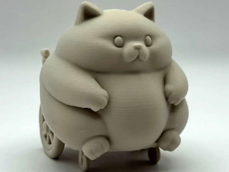Gatito regordete en silla de ruedas