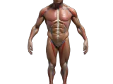 Human-Inspired Character Bundle-4
