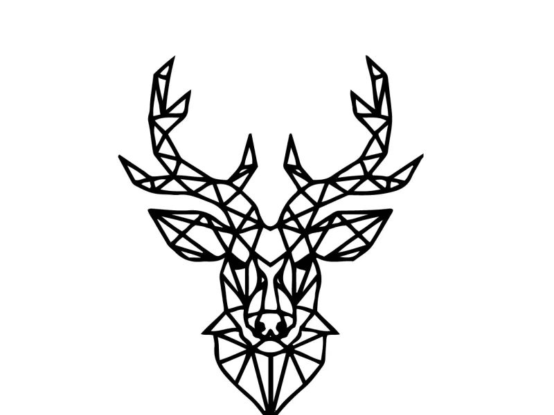 animal geometrico v14