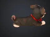 Dapper Pup-4