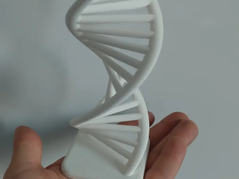 DNA