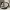 silhouette of pregnant woman with ultrasound and photo of ba