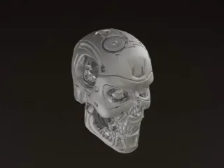TERMINATOR HEAD