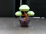 Low Poly Desktop Bonsai-1