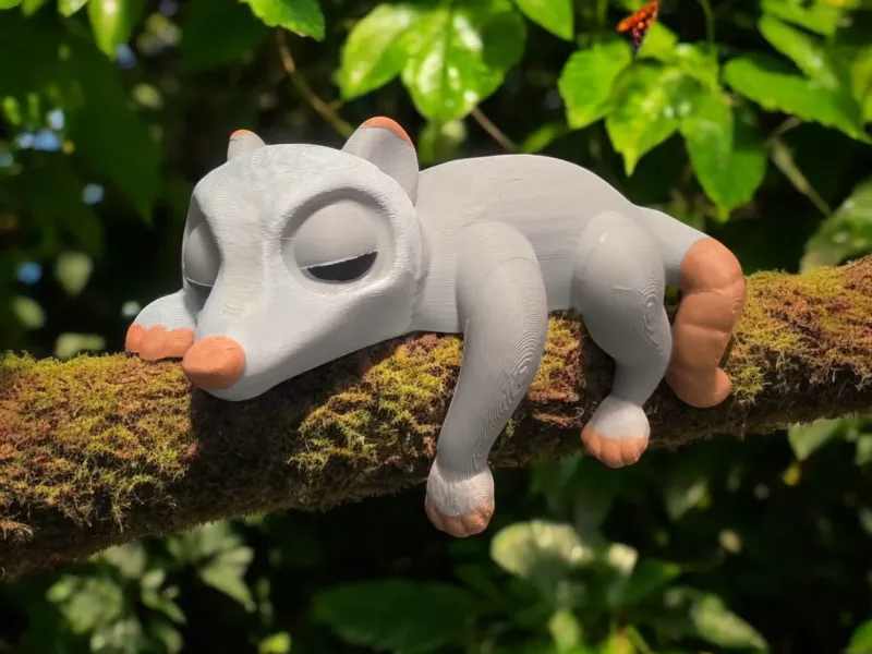 Shelf Sleeping Possum