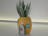 bitki saksısı dekorasyonu 21 Sünger Bob-2