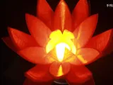 Fruit Flower Lampshade-4