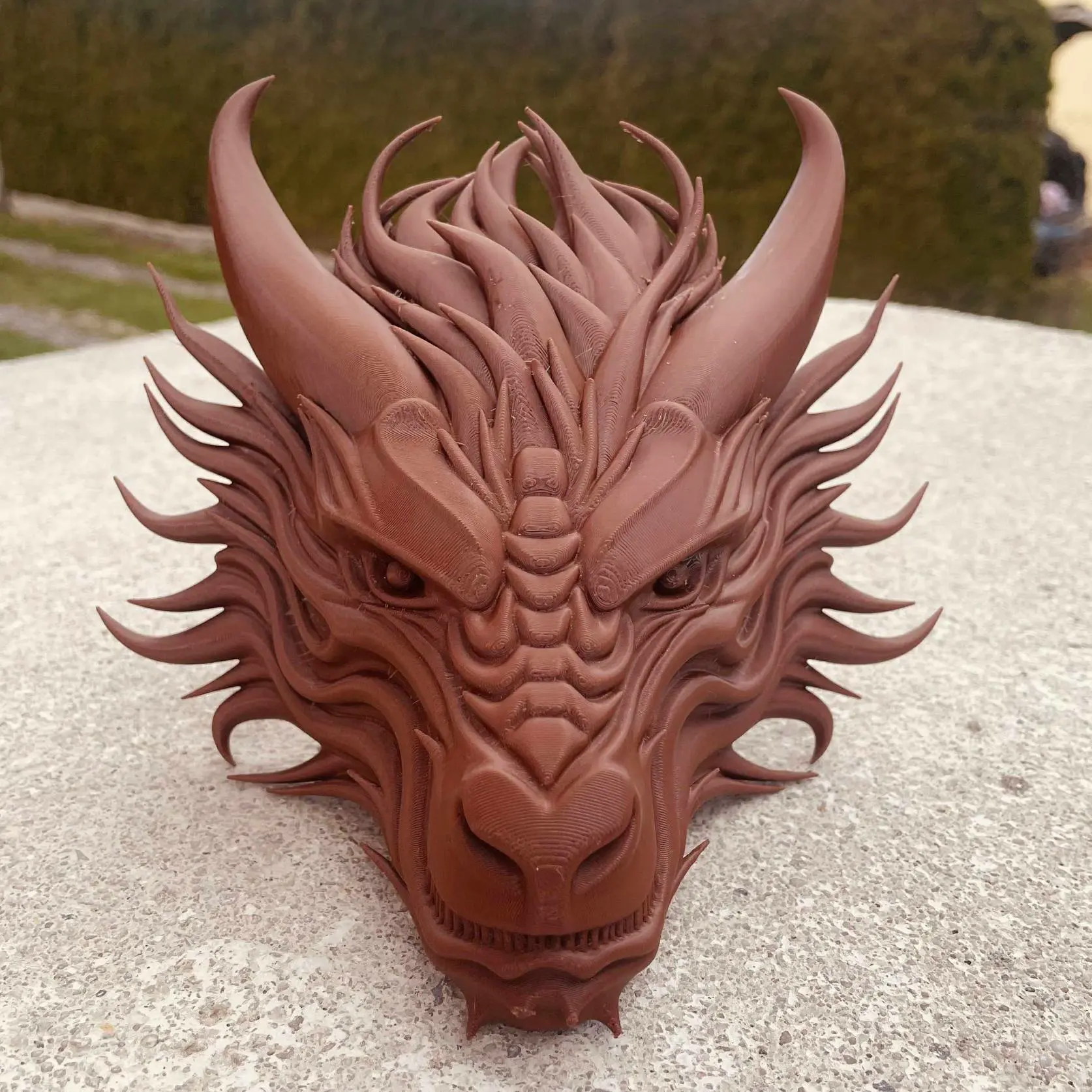 Dragon Head