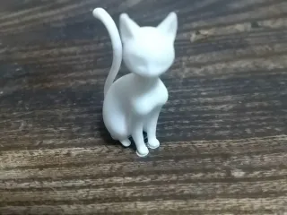 The cat's name is Sora