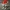 8 – Christmas Number Eight in Santa's Hat Figurine