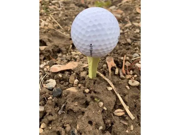 Golf Tee