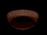 Crocodile Skin Ring-2