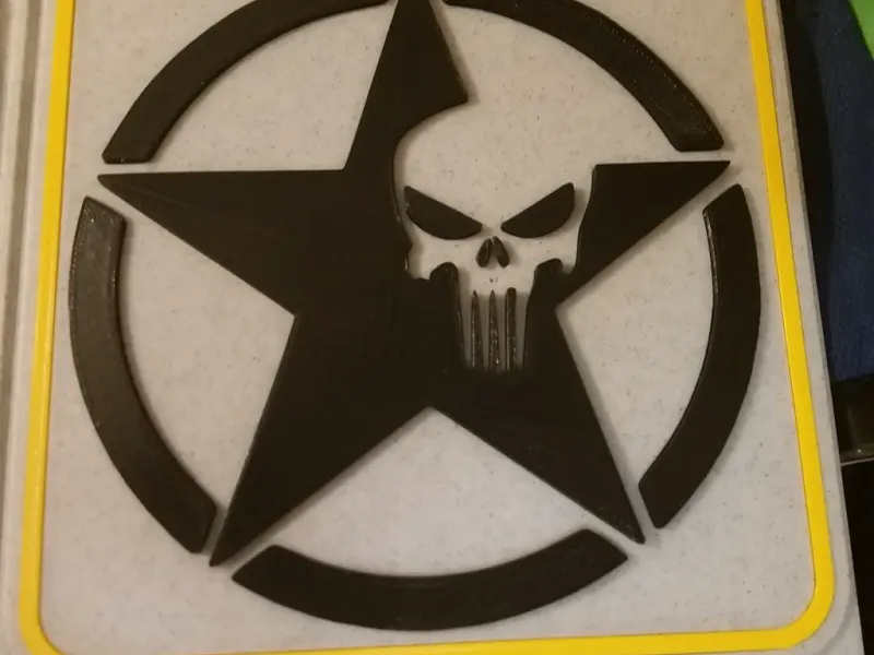 Logo dell'Esercito degli Stati Uniti con il Punisher