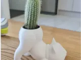 Кашпо Кот-0