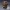 Avventuriero dude - Funko POP - Figura - Regalo - Divertimento - dude