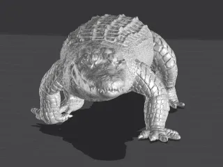 Alligator