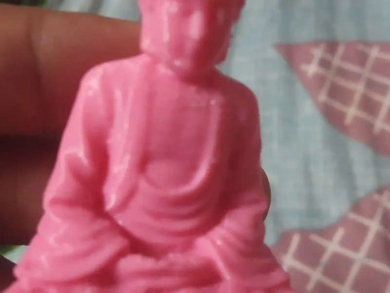 Abhay som