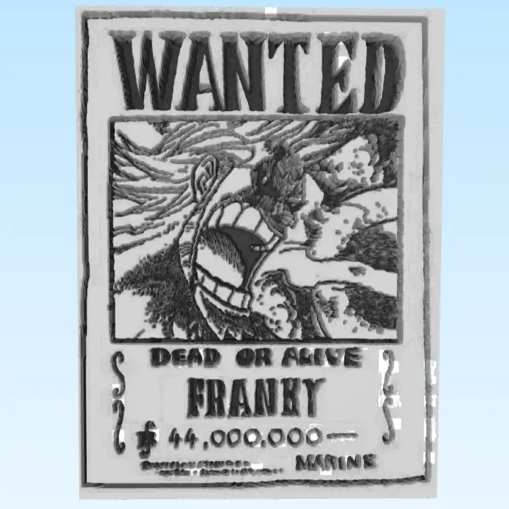 Franky wanted ONE PIECE 
