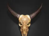 Bill, the Buffalo Skull-2